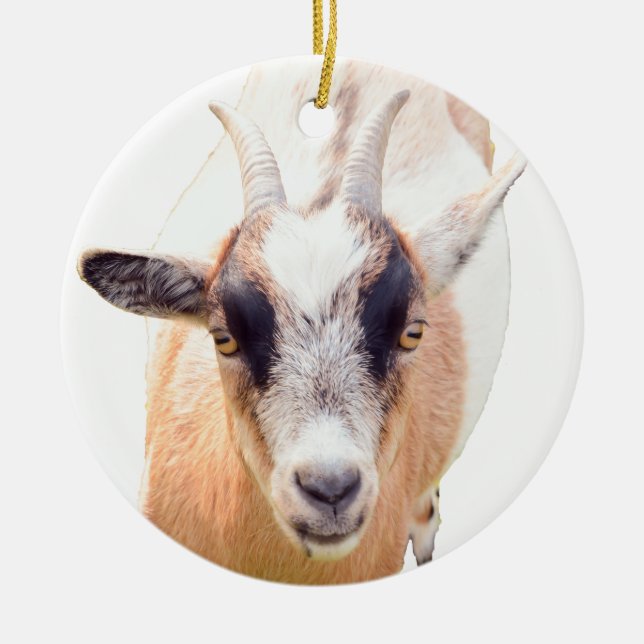 Cute goat straight look ceramic ornament (Front)