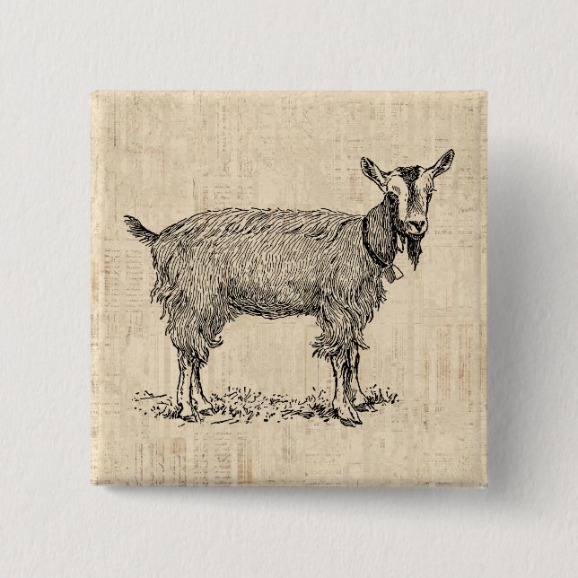 Cute Goat with Bell Illustration Antique Script 2 Inch Square Button (Front)