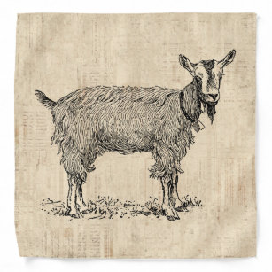 Cute Goat with Bell Illustration Antique Script Bandana