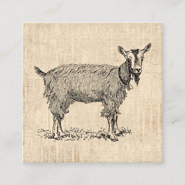 Cute Goat with Bell Illustration Antique Script Enclosure Card (Front)