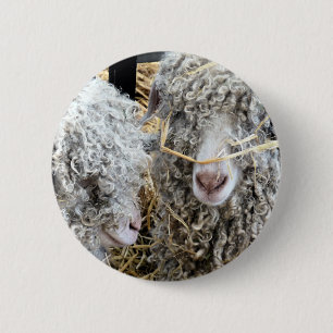 CUTE GOATS  2 INCH ROUND BUTTON