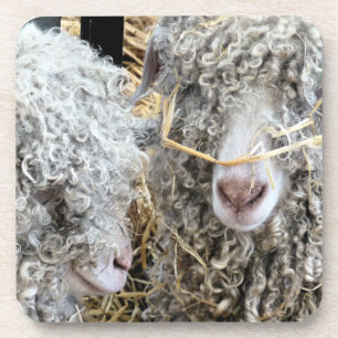 CUTE GOATS COASTER