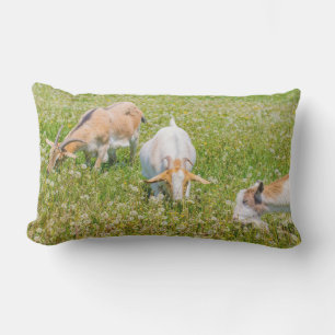 Cute Goats Farm Animals Green Lumbar Pillow
