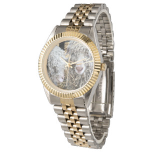CUTE GOATS WATCH