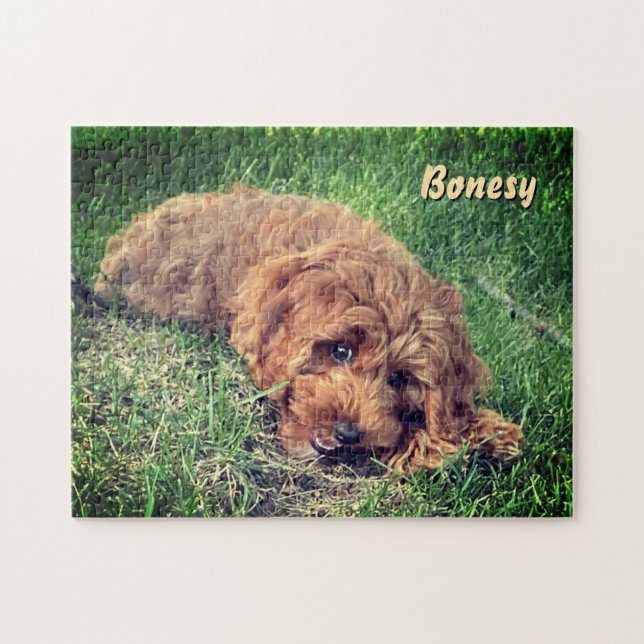 Cute Golden Doodle 11x14 Puzzle (Horizontal)