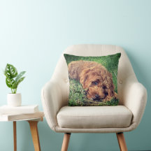 Cute Golden Doodle
