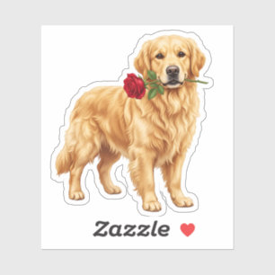 Cute Golden Retriever Dog
