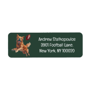Cute Golden Retriever Dog Playing Football