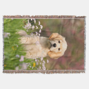 Cute Golden Retriever Dog Puppy, Cozy Blanket