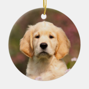 Cute Golden Retriever Dog Puppy hang Decor Ceramic Ornament