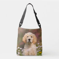 Cute Golden Retriever Dog Puppy Photo - on