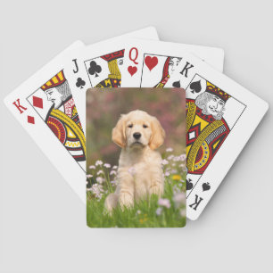 Cute Golden Retriever Dog Puppy Photo Portrait - Playing Cards