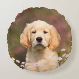 Cute Golden Retriever Dog Puppy Portrait - smooth Round Pillow