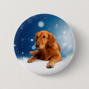 Cute Golden Retriever Dog Sitting in Snow Stars 2 Inch Round Button