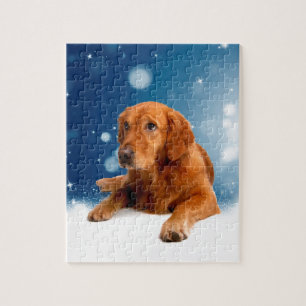 Cute Golden Retriever Dog Sitting in Snow Stars Jigsaw Puzzle