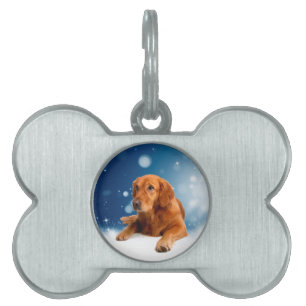 Cute Golden Retriever Dog Sitting in Snow Stars Pet Tag