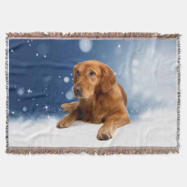 Cute Golden Retriever Dog Sitting Snow Stars Blue Throw Blanket (Front)