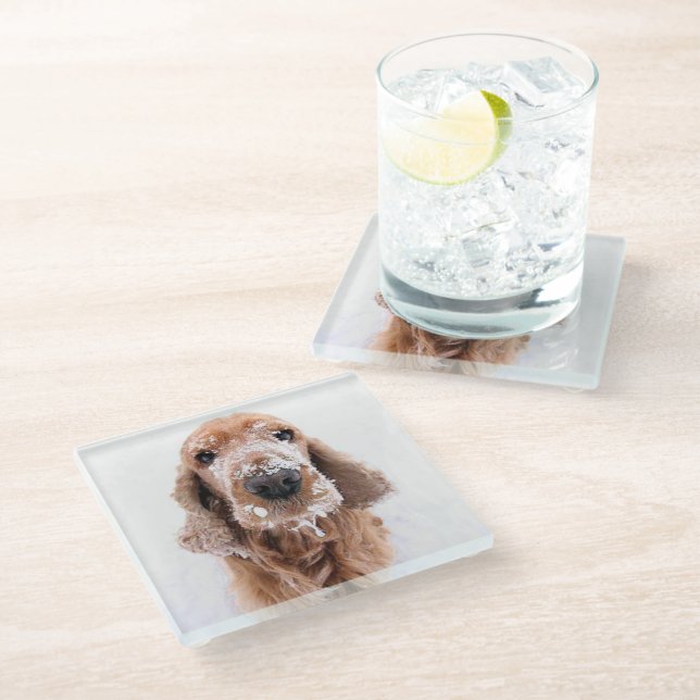 Cute Golden Retriever Dog With Snow Covered Face Glass Coaster (Angled)
