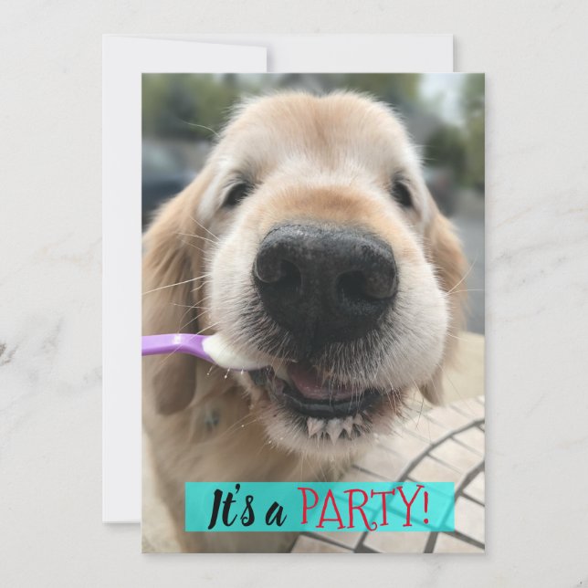 Cute Golden Retriever Eating Ice Cream Party Invitation (Front)