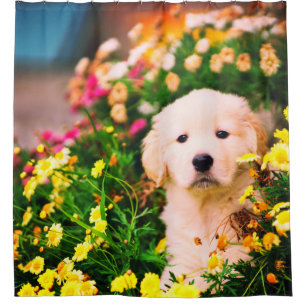 Cute Golden Retriever Puppy And Yellow Flowers
