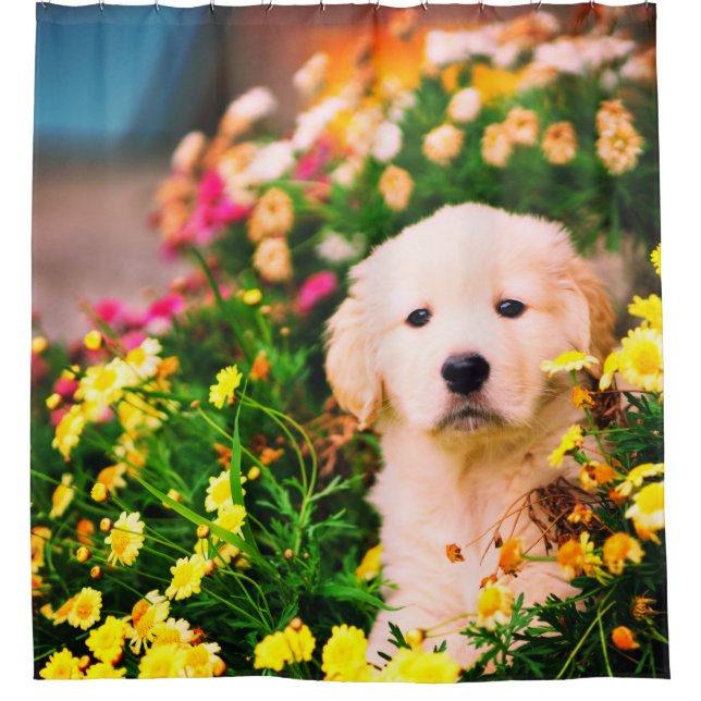 Cute Golden Retriever Puppy And Yellow Flowers (Front)