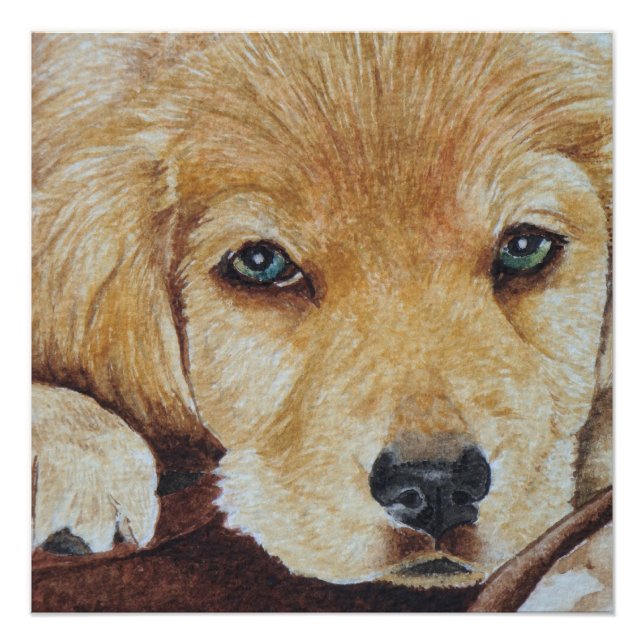 cute golden retriever puppy dog portrait art poster (Front)