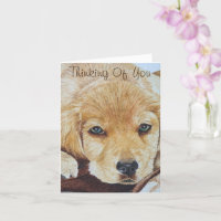 cute golden retriever puppy dog portrait