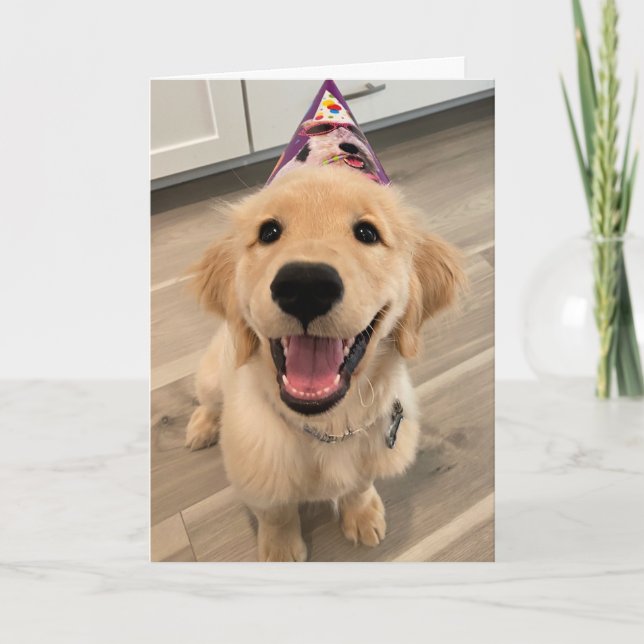 Cute Golden Retriever Puppy Dog with Birthday Hat Card (Front)