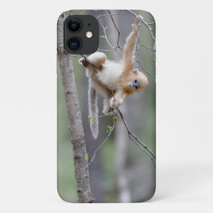 Cute Golden Snub-nosed Monkey on Tree Branches iPhone 11 Case