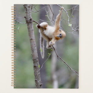 Cute Golden Snub-nosed Monkey on Tree Branches Planner