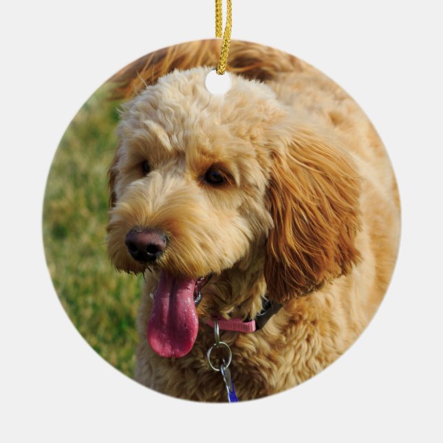 Cute Goldendoodle Dog Ceramic Ornament (Front)