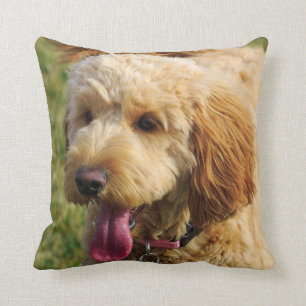 Cute Goldendoodle Dog Throw Pillow