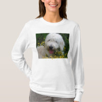 Cute Goldendoodle Hoodie, "I love My Doodle!"