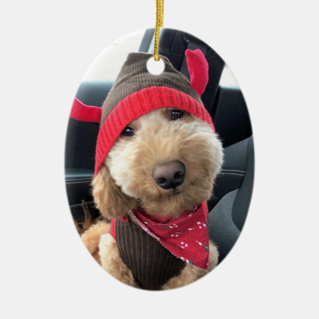 Cute Goldendoodle in His Christmas Outfit Ceramic Ornament (Front)