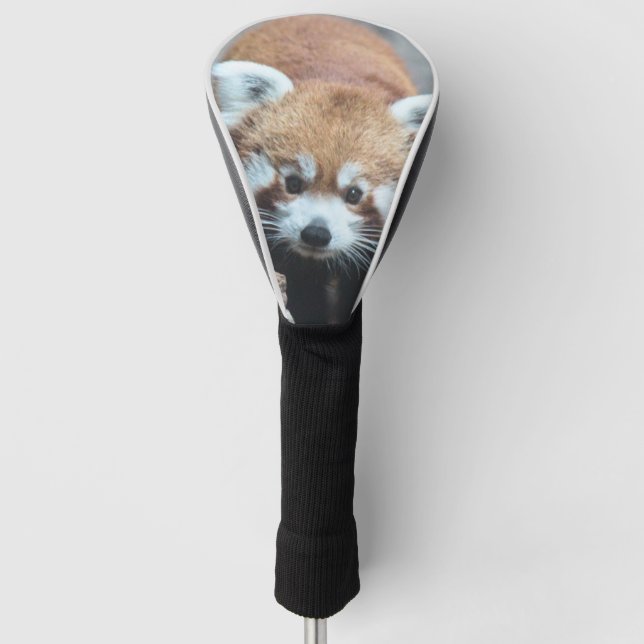 Cute Golf Head Cover (Front)