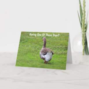 Cute Goose Inspirational Support Card