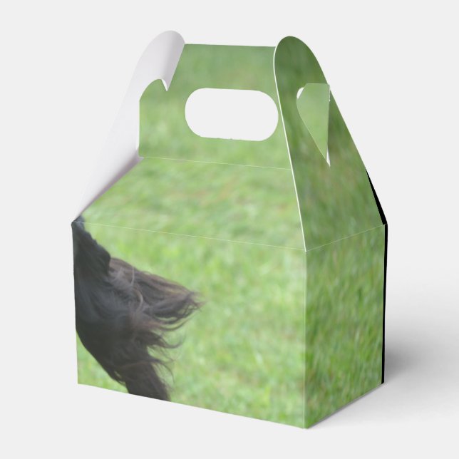 Cute Gordon Setter Favor Box (Front Side)