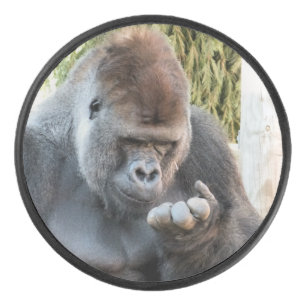 CUTE GORILLA
