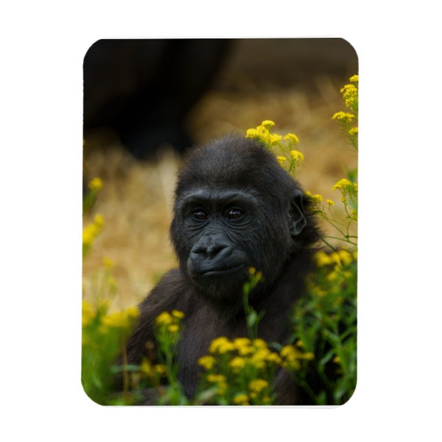 Cute Gorilla Baby Magnet (Vertical)