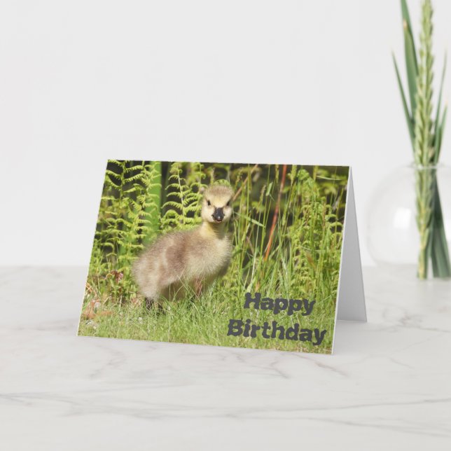 Cute Gosling Birthday or Greeting card. Customize Card (Front)