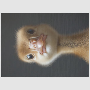 Cute Gosling Portrait Decoupage Tissue Paper