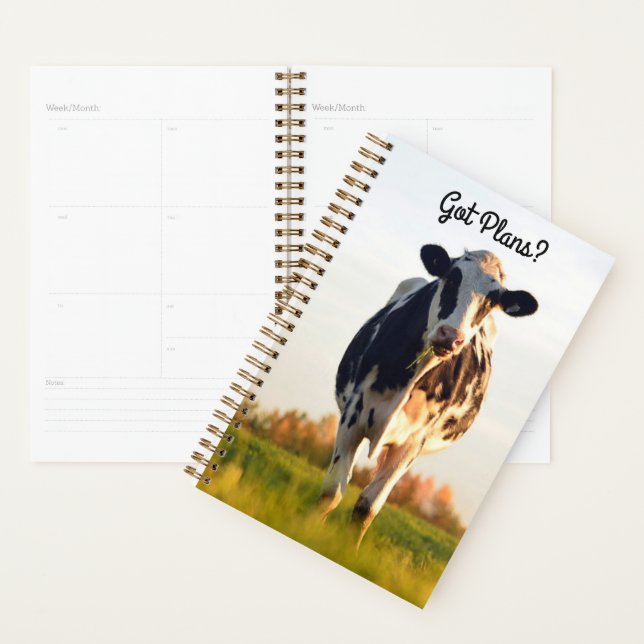 Cute Got Plans Holstein Heifer in Pasture Planner (Display)