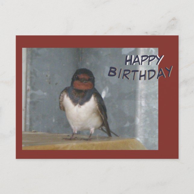 Cute Grange Swallow Cust.Bonne carte postale Anniv (Devant)