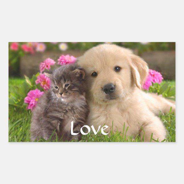 Cute Gray Kitten Love Puppy Dog Golden Retriever  Sticker (Front)