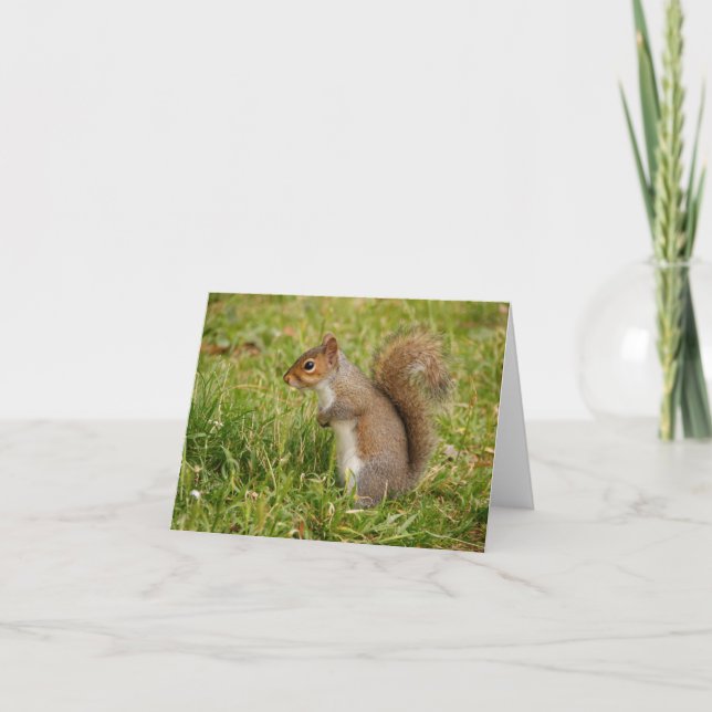 Cute Gray Squirrel Blank Notecards (Front)