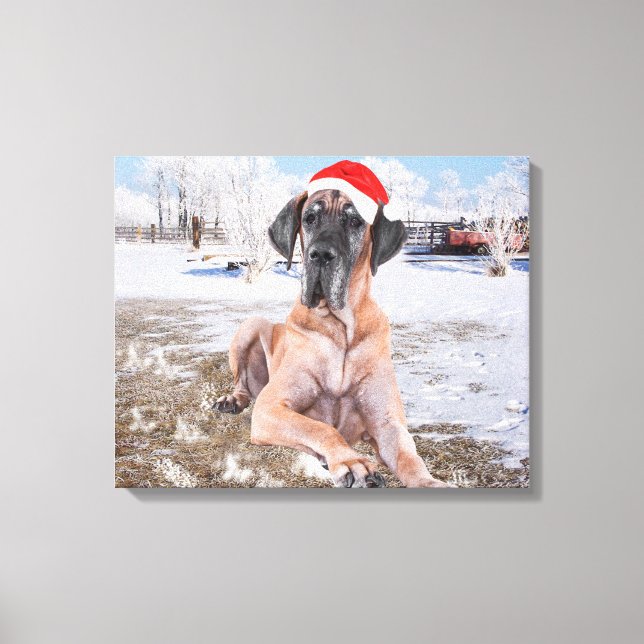 Cute Great Dane Dog Sitting In Snow Christmas Hat Canvas Print (Front)