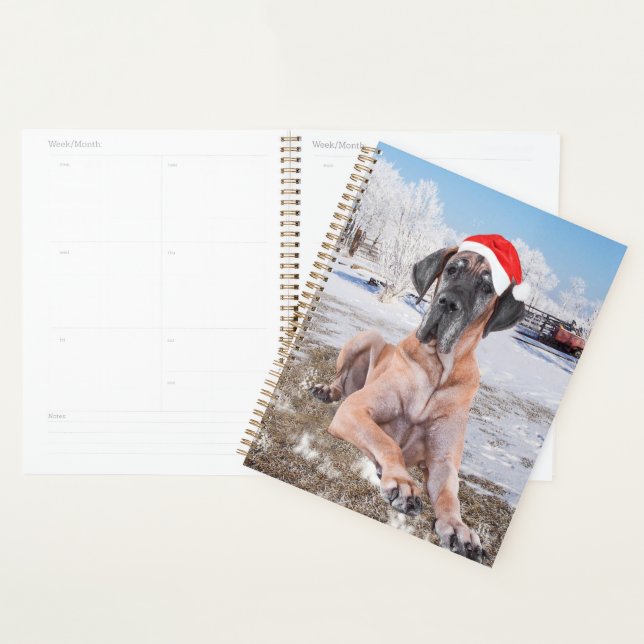 Cute Great Dane Dog Sitting In Snow Christmas Hat Planner (Display)