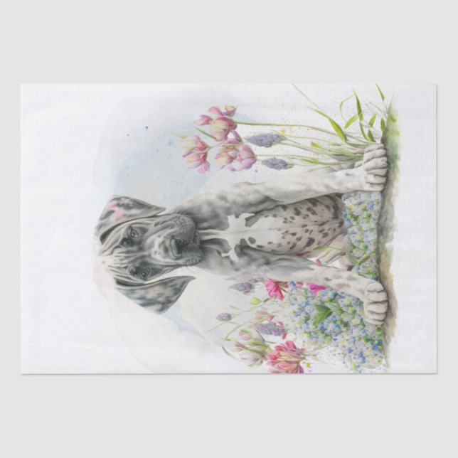 Cute Great Dane Puppy Dog Tissue Paper (Front)