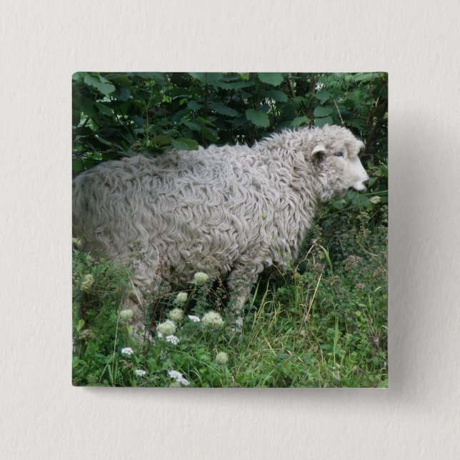 Cute Greedy Sheep Eating Button (Front)