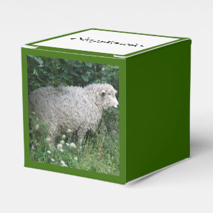 Cute Greedy Sheep Eating Custom Favour Box